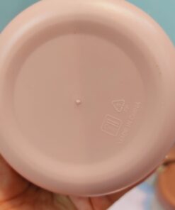 لانچ باکس پاستیلی