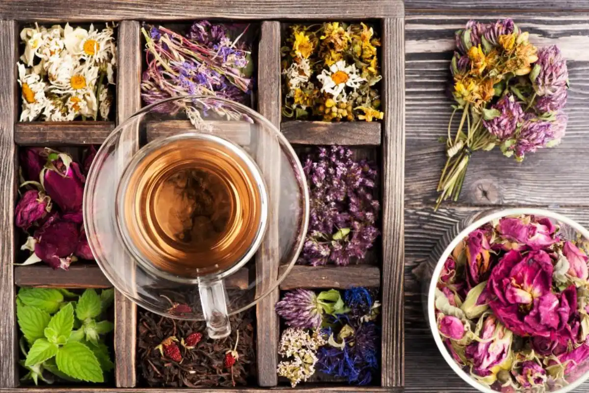 دمنوش خوشمزه برای مهمانی