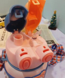 فلاسک دوسرنوش خرسی رنگی رنگی