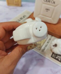 پیت گالن سرامیکی و نمکپاش