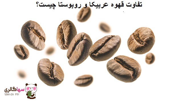 تفاوت قهوه عربیکا و روبوستا چیست؟