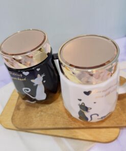 ست فانتزی ماگ گربه ملوس کد 1835