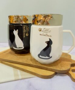 ست فانتزی ماگ گربه ملوس کد 1835