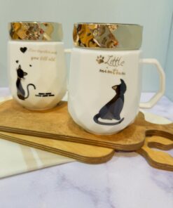 ست فانتزی ماگ گربه ملوس کد 1835