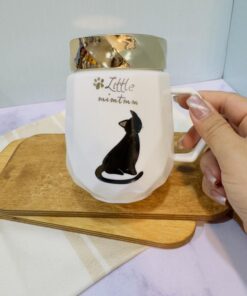 ست فانتزی ماگ گربه ملوس کد 1835