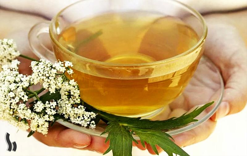 دمنوش سنبل‌الطیب