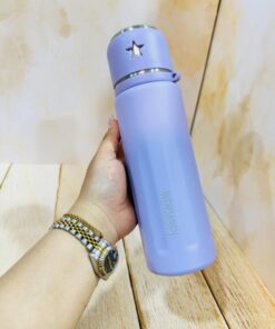 فلاسک استیل 600 میل برند FENDARFEN کد 2281