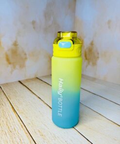 قمقمه دسته دار رنگی برند haily کد 2431