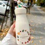 انواع تراول ماگ