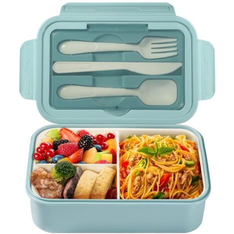 ظرف غذای مدرسه پسرانه