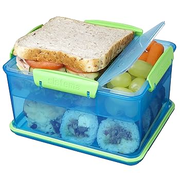 انواع ظرف غذای مدرسه