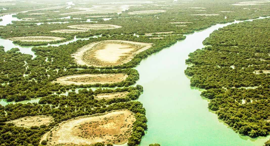 جنگل حرا قشم