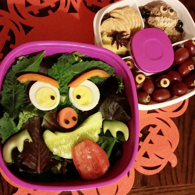 عکس چیدمان غذا در ظرف غذای کودک با ایده‌های ساده و زیبا