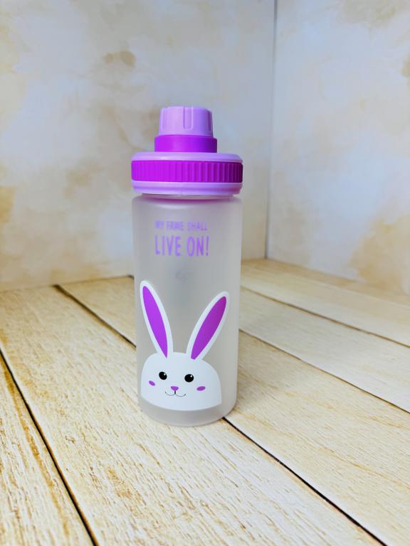 قمقمه فانتزی کودک طرح کله فندقی های خرسی کد 2679