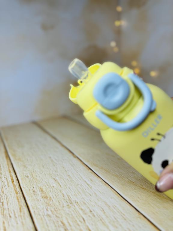 قمقمه استیل دو حالته کیف دار برند DILLER کد 2845